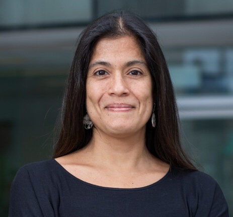 meche-e1702573436541