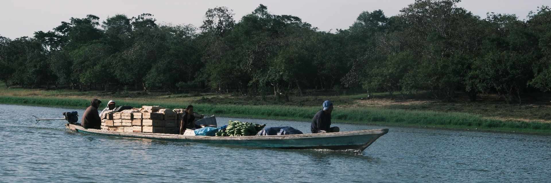 Biodiversidad, Territorio e Historia. Una aproximación desde el paisaje